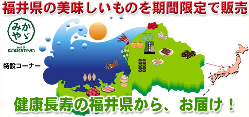 ���䌧�̂�����������